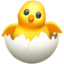 :hatching_chick: :hatching_chick: